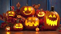 Halloween Jack-o-Lantern Pumpkins