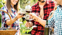 Young friends having fun outdoor clinking red wine glasses - Happy people eating grape and drinking at harvest time in farmhouse