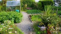Garden Allotment with Glass House