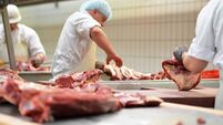 workplace food industry - factory butchery for the production of sausages - butcher cuts meat
