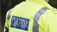 Young man dies in single-vehicle crash in Laois in early morning hours