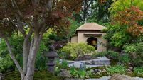 Cha No Niwa  Japanese Tea Garden. Designed by Kazuyuki Ishihara. Show Garden. RHS Chelsea Flower Show 2025. Site no. 328