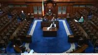 Watch: Power cut leads to lights going out in Dáil 