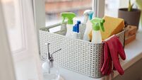 Close Up of Basket with Cleaning Supplies By Window