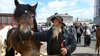 Watch: Jerry from Kerry at the 2025 Cahirmee Horse Fair