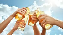 Beer time! Cropped image of hands are clinking bottles with beer against summer sky background. Barbecue concept.