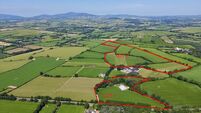 61-acre Wexford farm guiding at €16k-€18k/acre at online auction