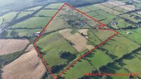 August auction for 85-acre South Tipperary farm