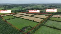 North Cork farm fetches around €13k/acre at auction
