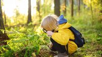 Preschooler boy is exploring nature with magnifying glass. Little child is looking on leaf of fern with magnifier. Vacation for