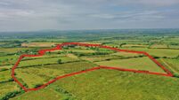 €900,000 guide price for 59-acre Kerry farm