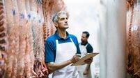 Butcher making quality report in slaughterhouse