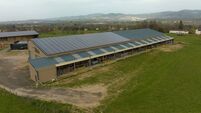 Aerial view of blue photovoltaic solar panels mounted on farm building roof for producing clean ecological electricity. Producti