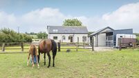 Horses and houses for courses: saddle up for €550k Kilbree home 