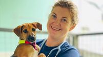 From Kilkenny to Sri Lanka: Meet the vet nurse helping to care for three million street dogs