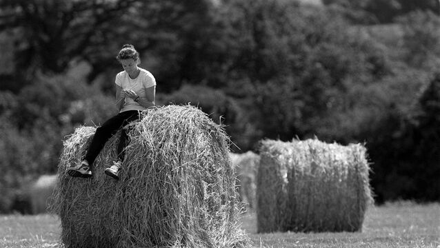 <p>Sonia O'Sullivan relaxes in Cobh on her last visit there before the Olympic Games in 2000. Pic: Patrick Bolger/Inpho</p>