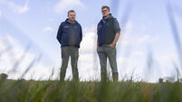 Signpost: Grass growth challenges managed with tight rotation and fodder planning