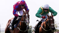 Tounsivator ridden by Paul Townend and  Volantis ridden Keith Donoghue 2/8/2024