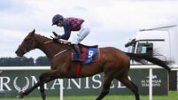 Galway preview: Ndaawi can go one place better in Galway Hurdle