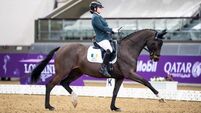 Irish para dressage team face funding shortfall ahead of European championships