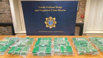 Cocaine seizure