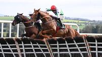 Kinlay Hostel Chase can bring best out of Zanahiyr 