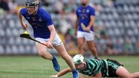 St Finbarrs' forwards too strong for Douglas in Cork Premier SHC opener despite Brian Hayes absence
