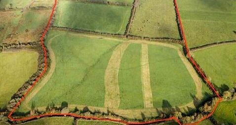 56ac South Limerick farm seeking €7,500/ac at auction