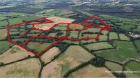 124ac Wexford farm set for September auction