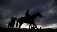 Gordon Elliott horses out on the gallops this morning 9/3/2020