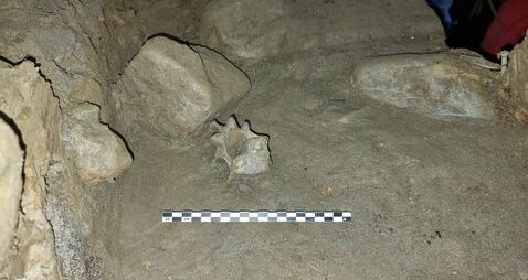 Ice Age bones discovered in Norwegian cave