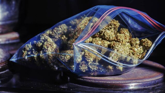 <p>The defendant was charged with two offences relating to the seizure of 93 packages of herbal cannabis with a weight of 107kg. File picture</p>