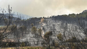<p>A house stands in the middle of burned trees during France’s biggest wildfire this summer, near Durban-Corbieres, southern France Picture: Hernan Munoz/AP</p>
